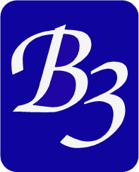 B3